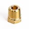 Homeplus+ ATC 1/4 in. MPT Brass Hex Head Plug 6JC120810701017 - alternate 2